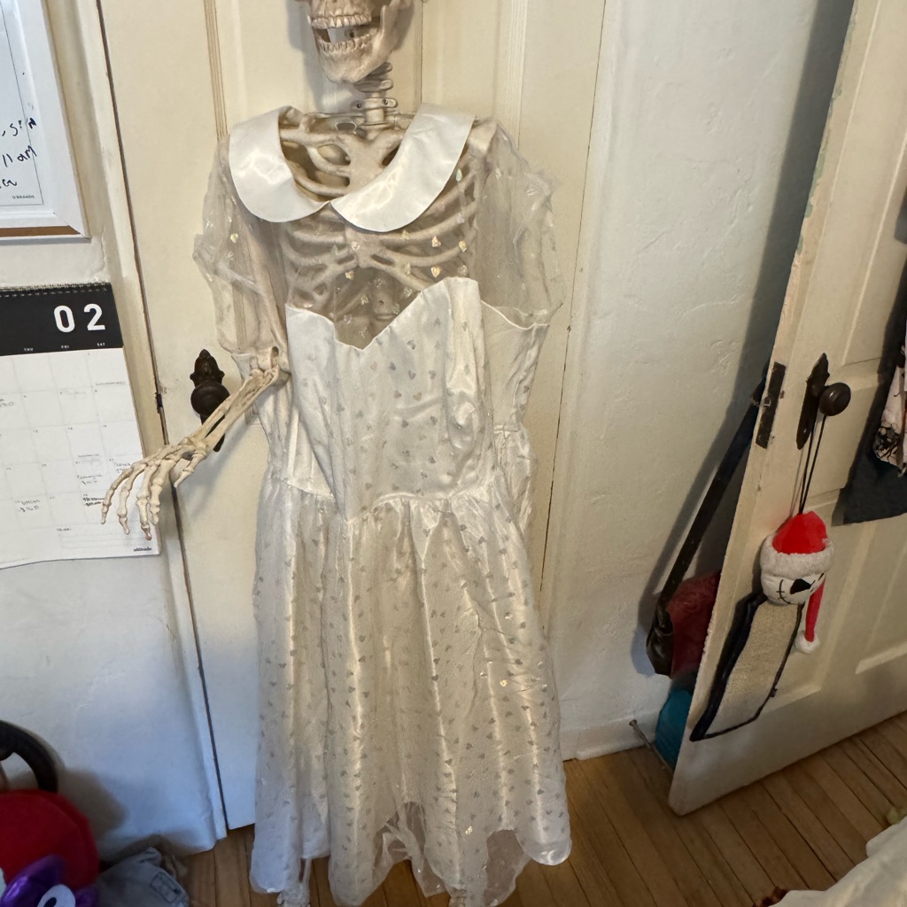 Unique Vintage White Sheer Heart Print Dress